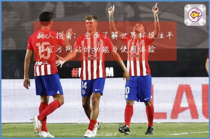 新人指南：全面了解世界杯投注平台官方网站的功能与使用体验