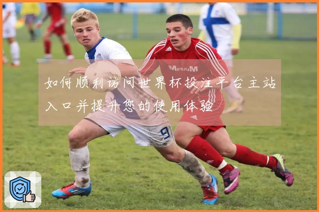 如何顺利访问世界杯投注平台主站入口并提升您的使用体验