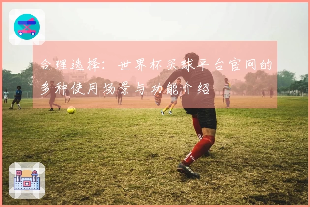 合理选择：世界杯买球平台官网的多种使用场景与功能介绍