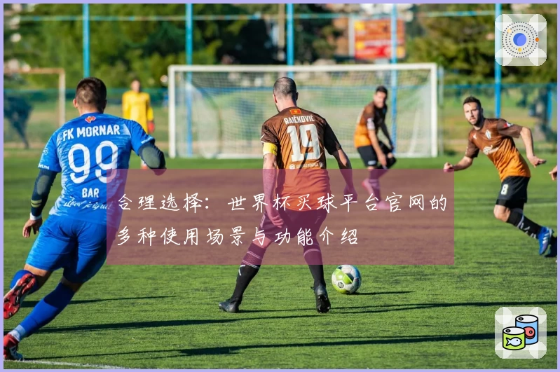 合理选择：世界杯买球平台官网的多种使用场景与功能介绍
