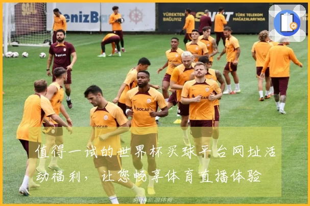 值得一试的世界杯买球平台网址活动福利，让您畅享体育直播体验