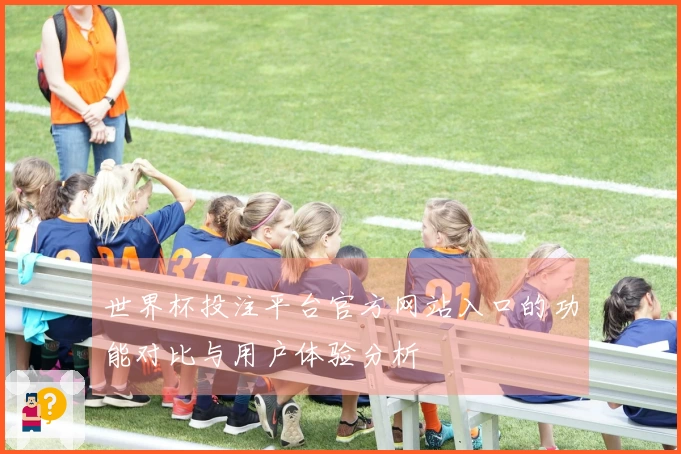 世界杯投注平台官方网站入口的功能对比与用户体验分析