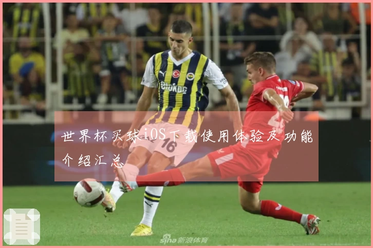 世界杯买球iOS下载使用体验及功能介绍汇总