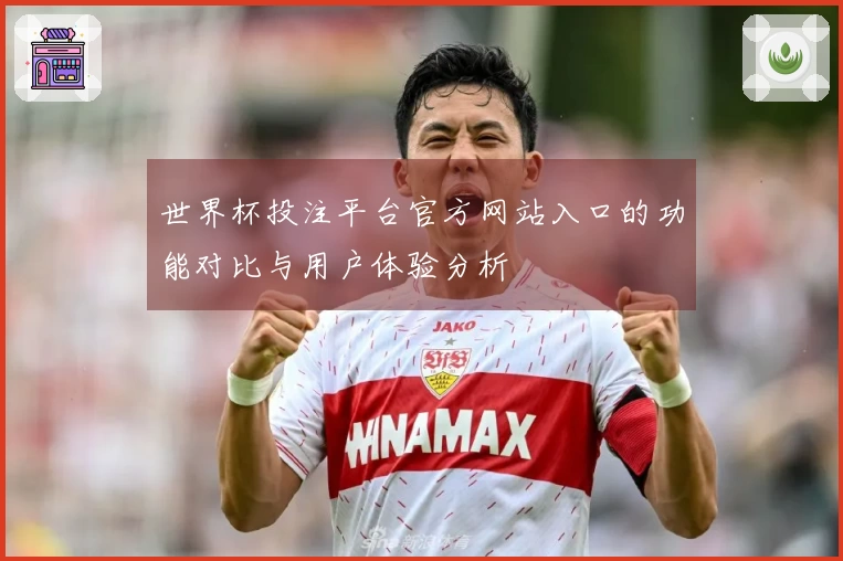 世界杯投注平台官方网站入口的功能对比与用户体验分析
